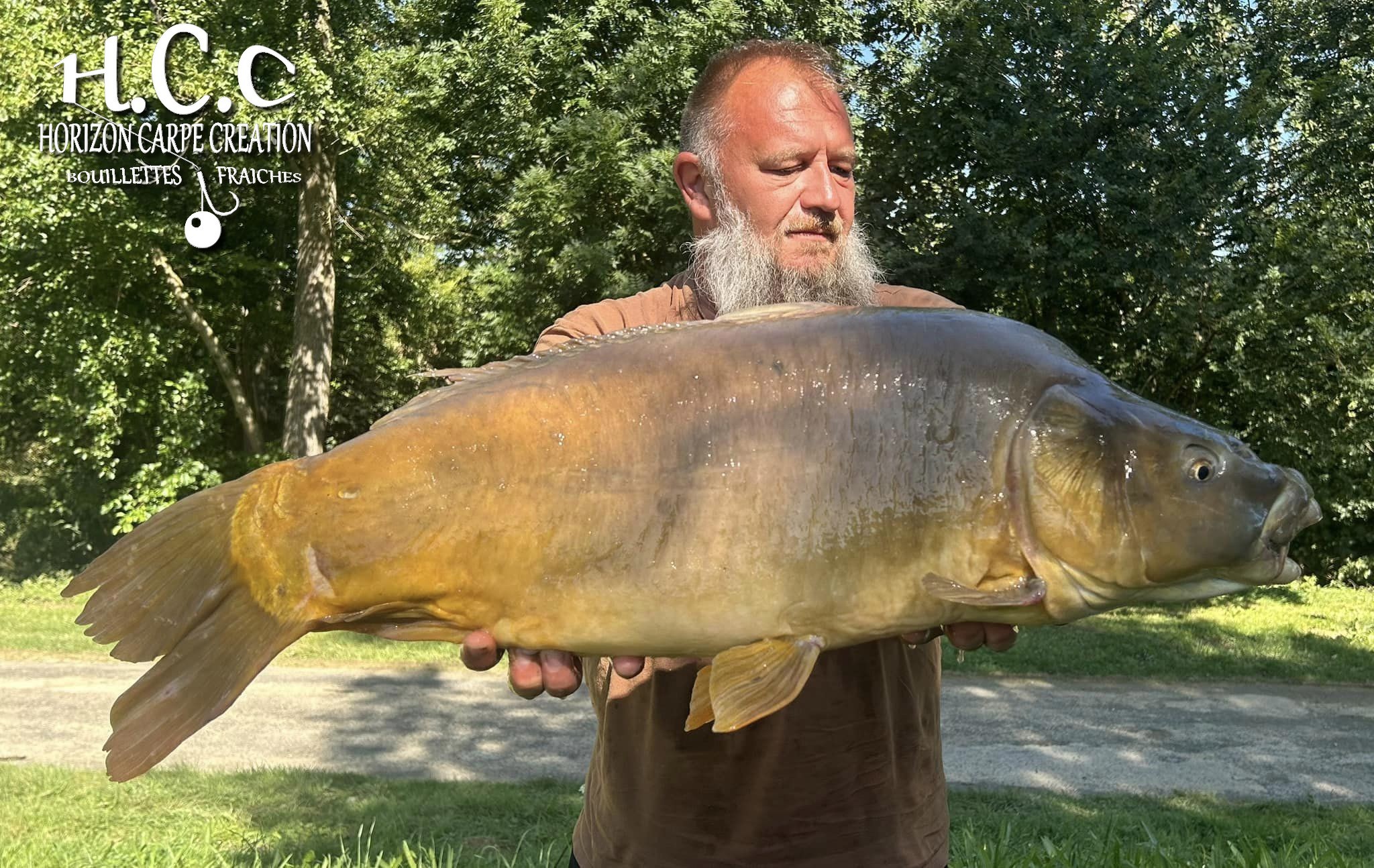 CHRISTOPHE COLLANGE - TESTEUR HCC