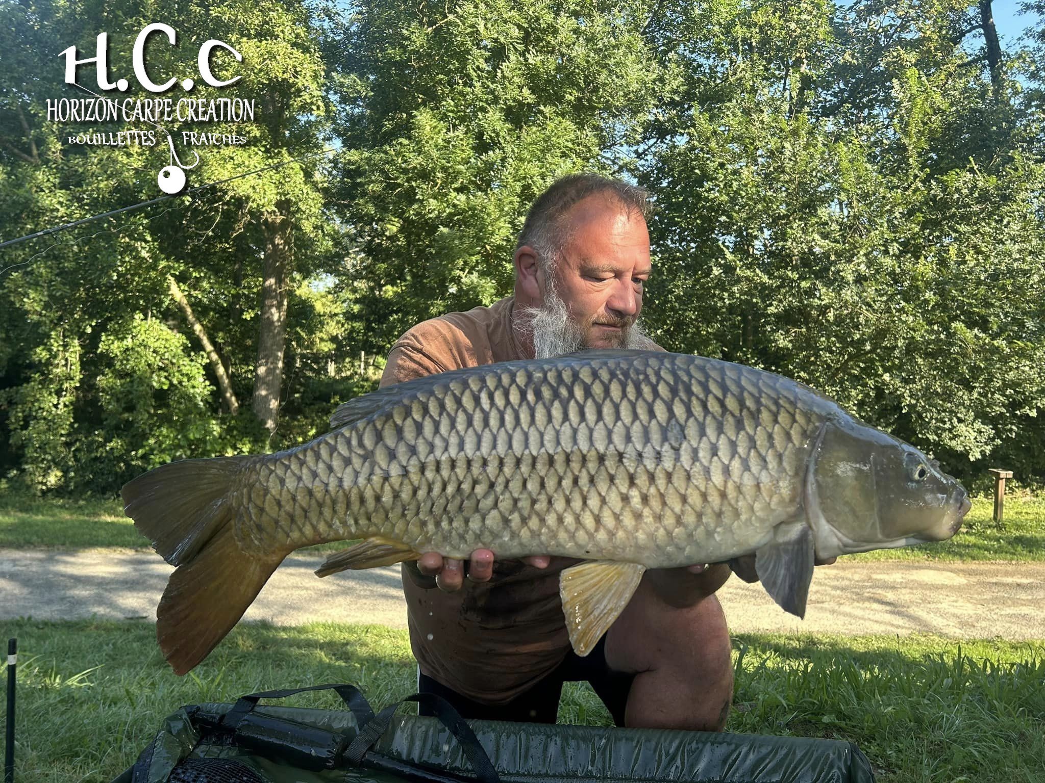 CHRISTOPHE COLLANGE - TESTEUR HCC