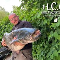 CEDRIC HAVY - CONSULTANT HCC