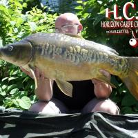 CEDRIC HAVY - CONSULTANT HCC