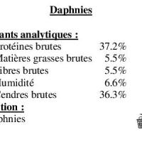 Daphnies