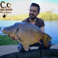 GUILLAUME TONTO - CLIENT HCC