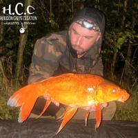 JORDAN BOULANGER - CONSULTANT HCC