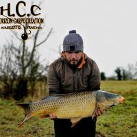 MICKAEL LAURENT - TESTEUR HCC