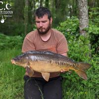 MICKAEL LAURENT  - TESTEUR HCC