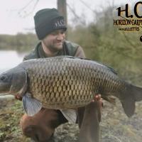 QUENTIN ZAMBELLI - CONSULTANT HCC