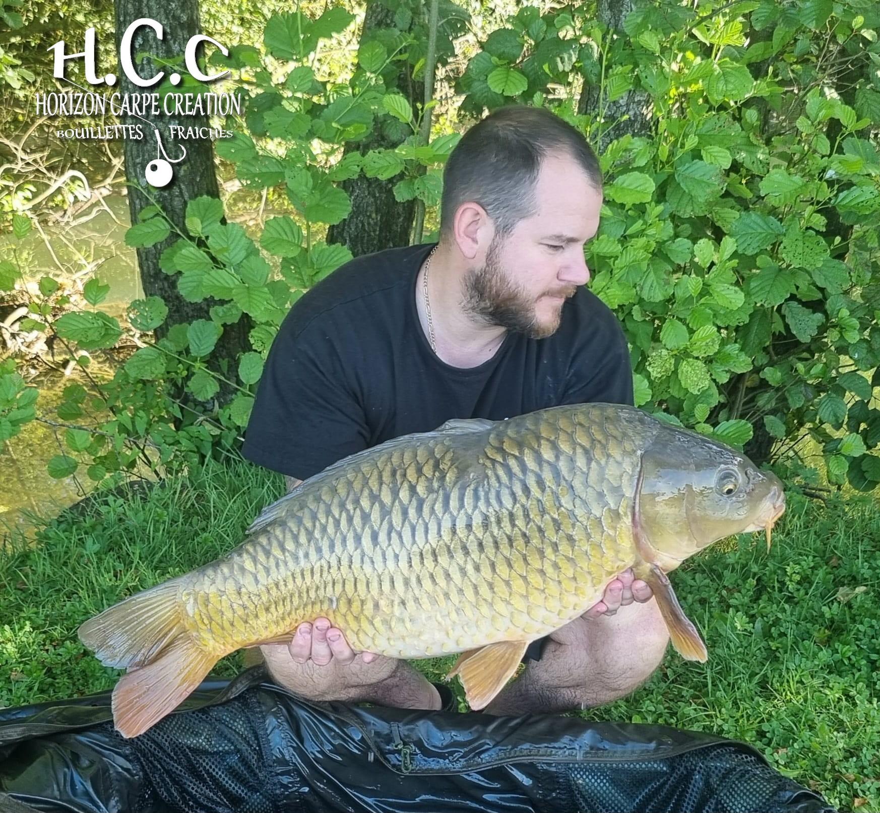 ROMAIN AGON - CONSULTANT HCC