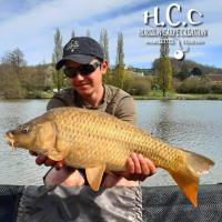 YANN CALLY - CLIENT HCC